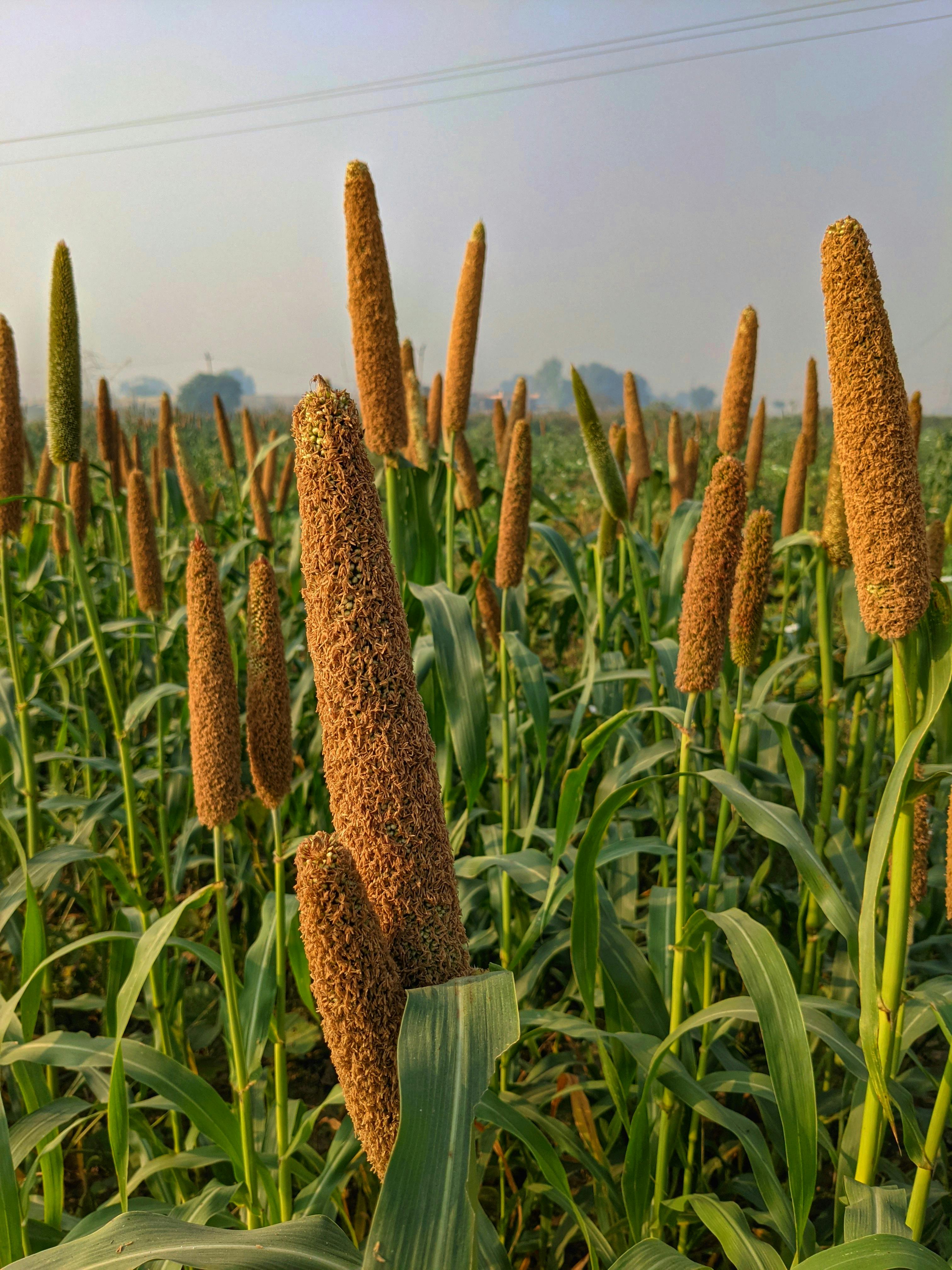 Variantal Routes — Connect with us